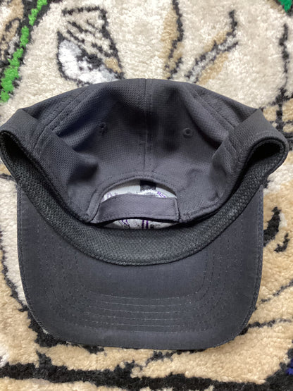 Colorado Rockies kids hat